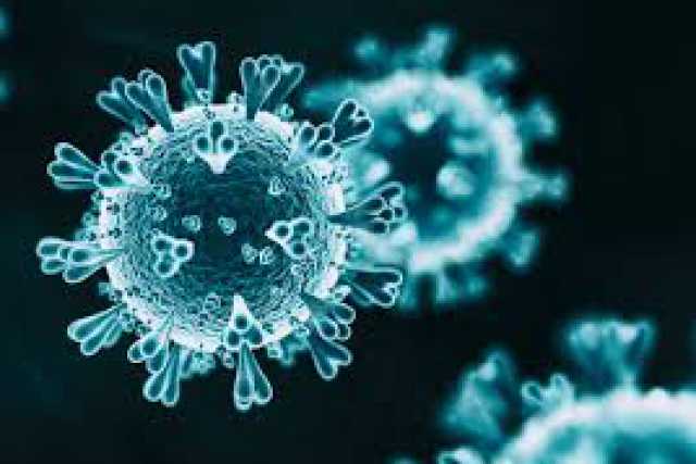 Coronavirus, in Puglia 85 nuovi casi: positivo il 5,63% dei tamponi